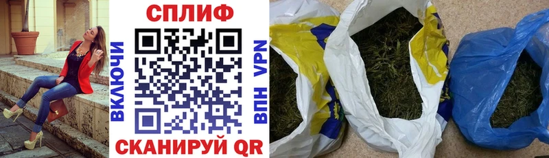 Сколько стоит Чадан A PVP  Бошки Шишки 