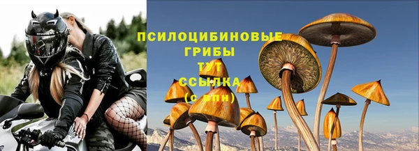 jwh Алзамай