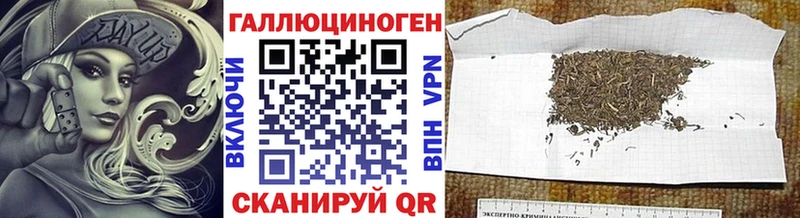 Галлюциногенные грибы Psilocybine cubensis  Чадан 